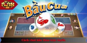 Cách Chơi Bầu Cua Luôn Thắng