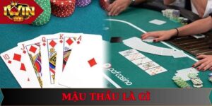 Mậu Thầu Là Gì