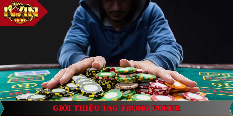 Tag Trong Poker Là Gì? Hướng Dẫn Cách Chinh Phục Tag 1 Giới thiệu khái niệm TAG trong Poker là gì cho người chơi mới